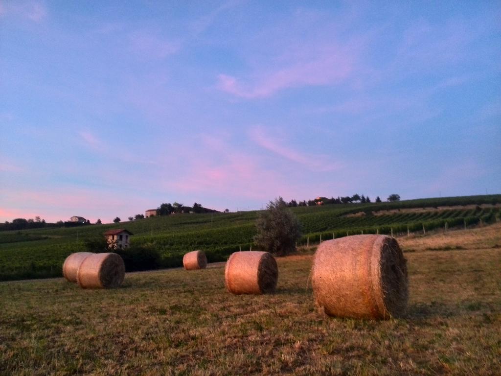 I Boidi Apartment Nizza Monferrato Luaran gambar
