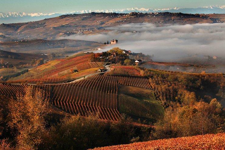 I Boidi Apartment Nizza Monferrato Luaran gambar