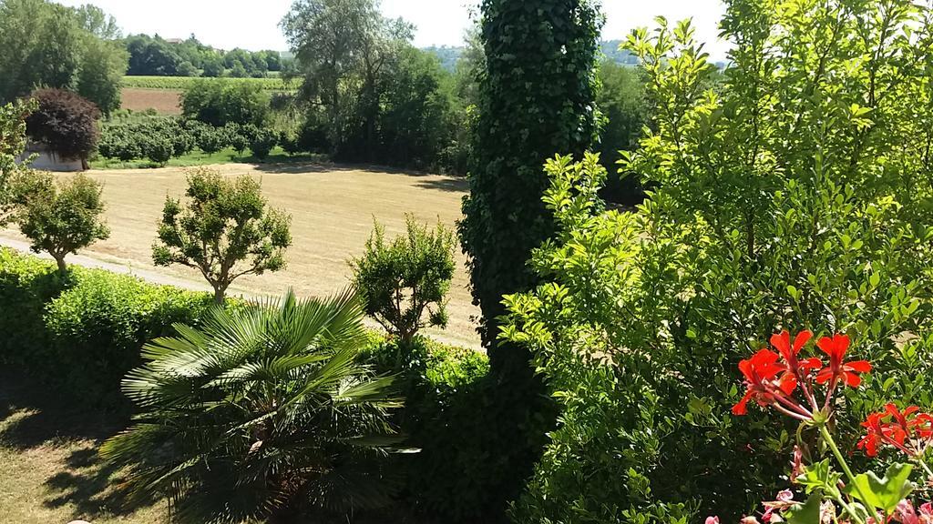 I Boidi Apartment Nizza Monferrato Luaran gambar